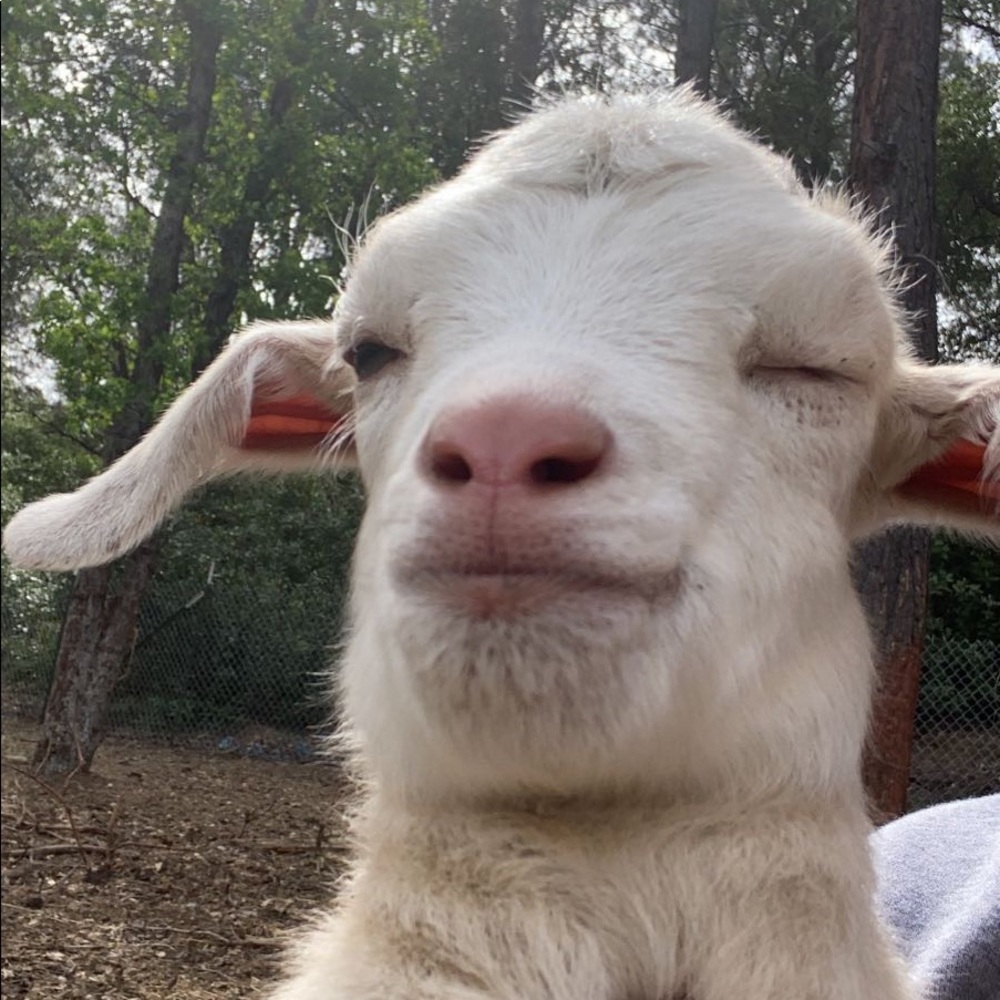 Meet your Posher, Elizabeth